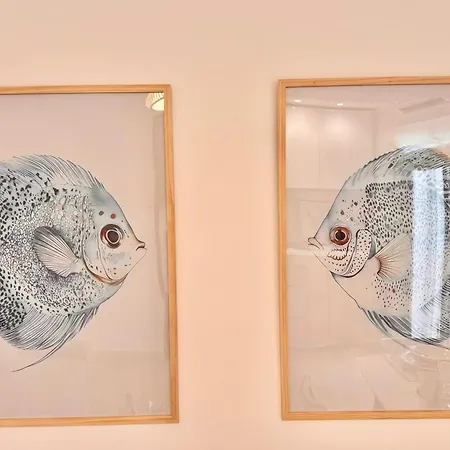 Ana Centro 아파트 *