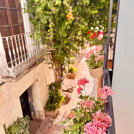 Ana Centro 아파트 *