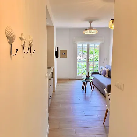 Ana Centro 아파트