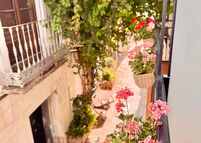 Ana Centro アパート *