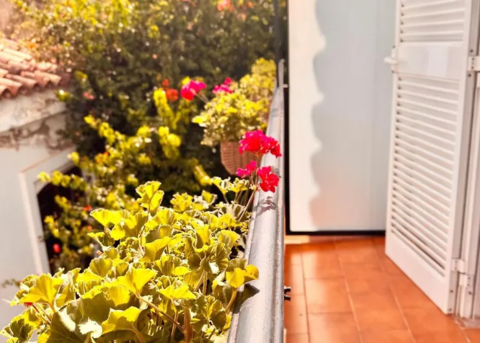 Ana Centro アパート