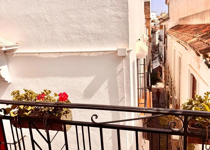 Ana Centro アパート *