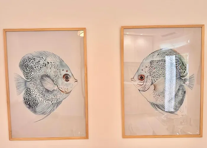 Ana Centro 아파트 *